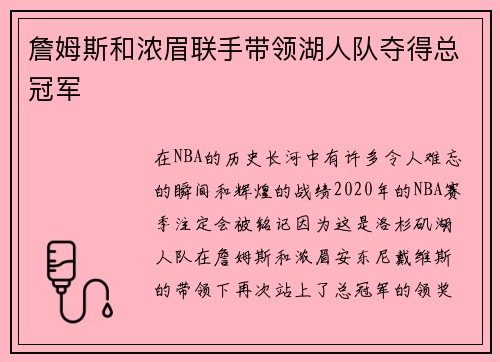 詹姆斯和浓眉联手带领湖人队夺得总冠军